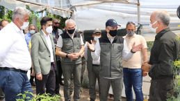 Bakan Pakdemirli: Ekoturizm alanlarımız Türkiye turizmine yıllık 250 milyon TL katkıda bulunacak