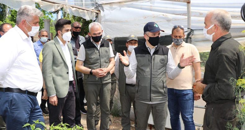 Bakan Pakdemirli: Ekoturizm alanlarımız Türkiye turizmine yıllık 250 milyon TL katkıda bulunacak