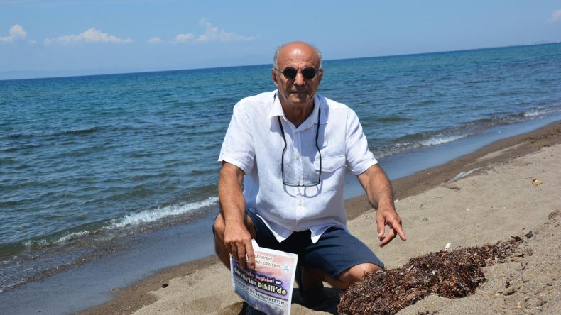 Dikili kıyılarında ‘bozuk yumurta kokulu yosun’ uyarısı