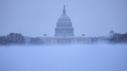 Polar cold in the US: Death toll rises to 59