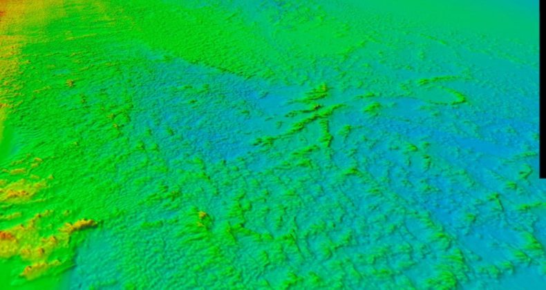 The world’s largest deep-sea coral reef has been mapped