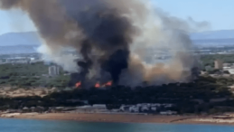 The forest fire in the Lara tourism region has been brought under control