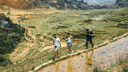 New impetus for the tourism industry